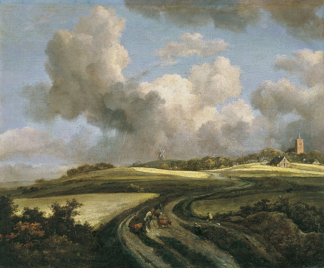Camino atravesando campos de trigo cerca de Zuider Zee de Jacob van Ruisdael