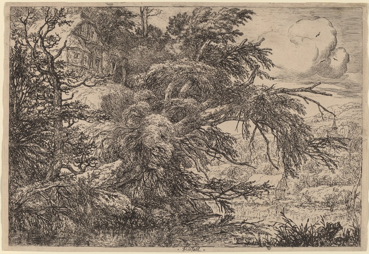 Casa de campo em uma colina de Jacob van Ruisdael
