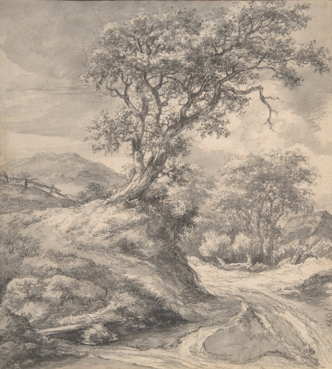 Paisagem de dunas com carvalho, 1650-55. de Jacob van Ruisdael