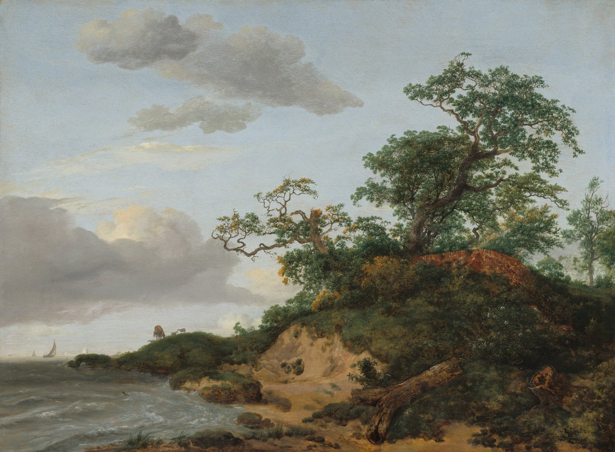 Dunas à beira-mar de Jacob van Ruisdael
