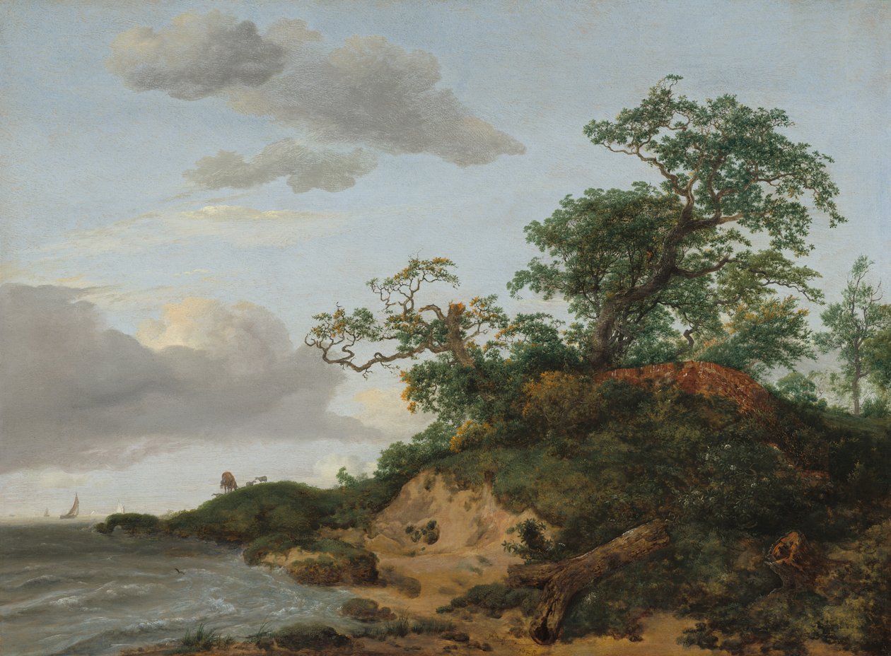 Dunas à beira-mar, 1648. de Jacob van Ruisdael