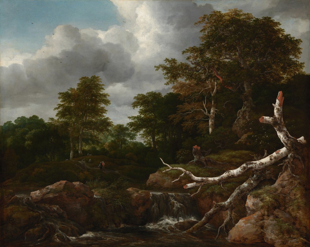 Cena de floresta de Jacob van Ruisdael