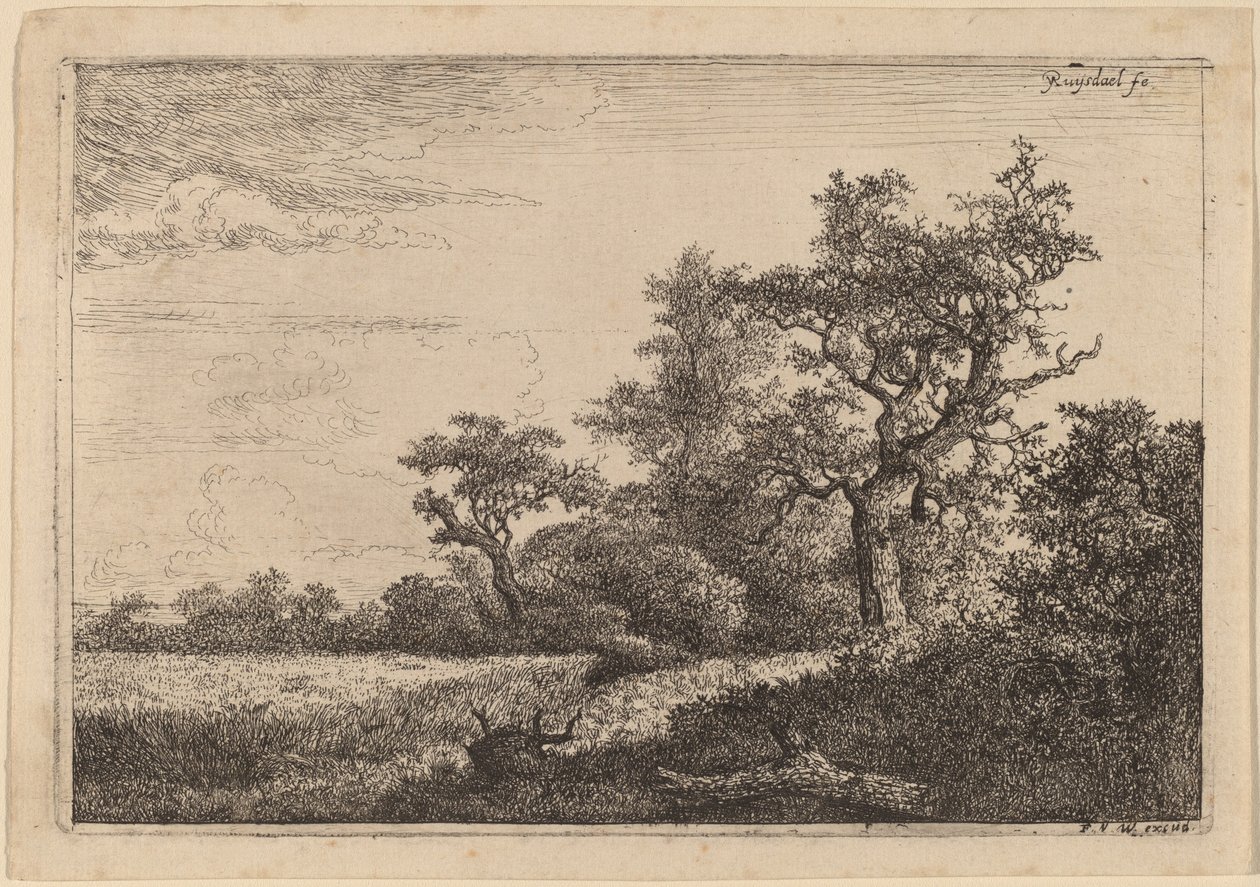 Campo de grãos na borda de uma floresta (campo de milho) de Jacob van Ruisdael