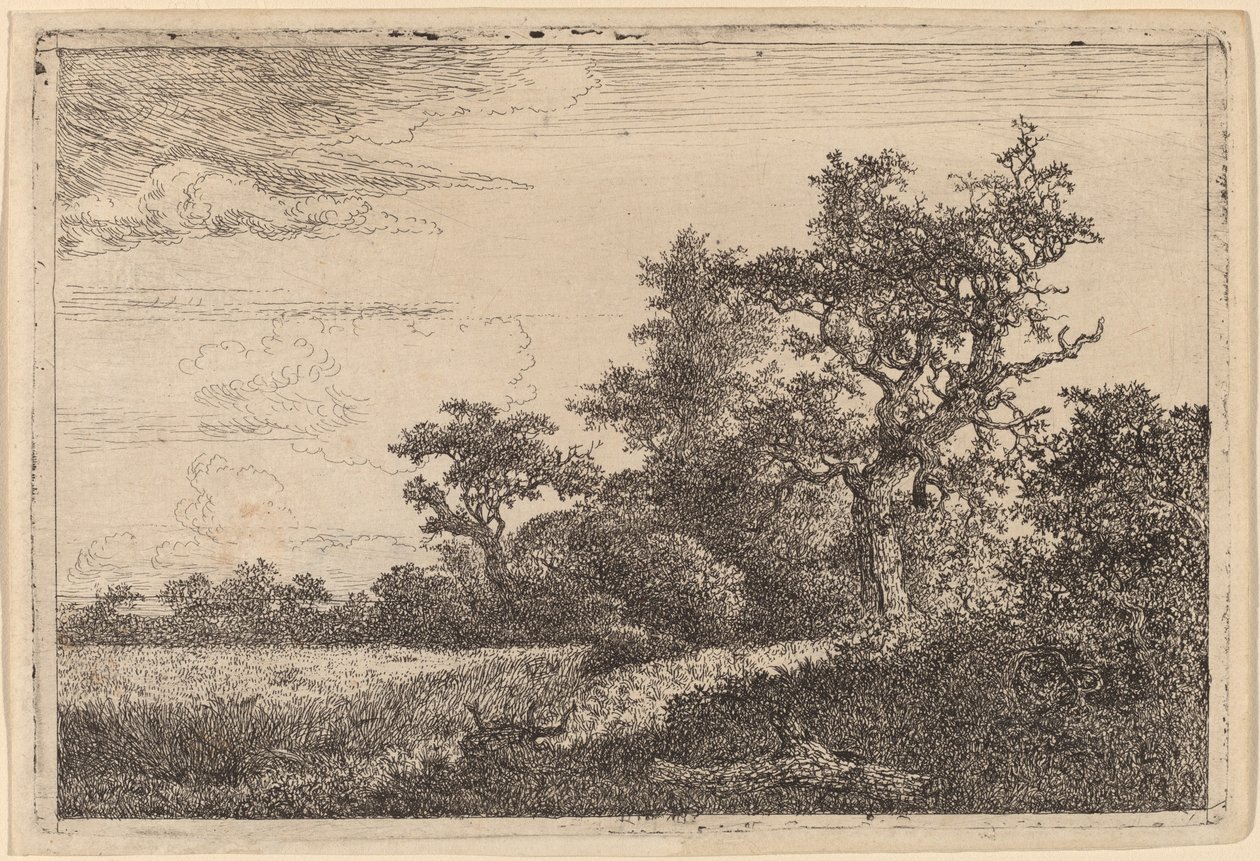 Campo de grãos na borda de uma floresta (campo de milho) de Jacob van Ruisdael