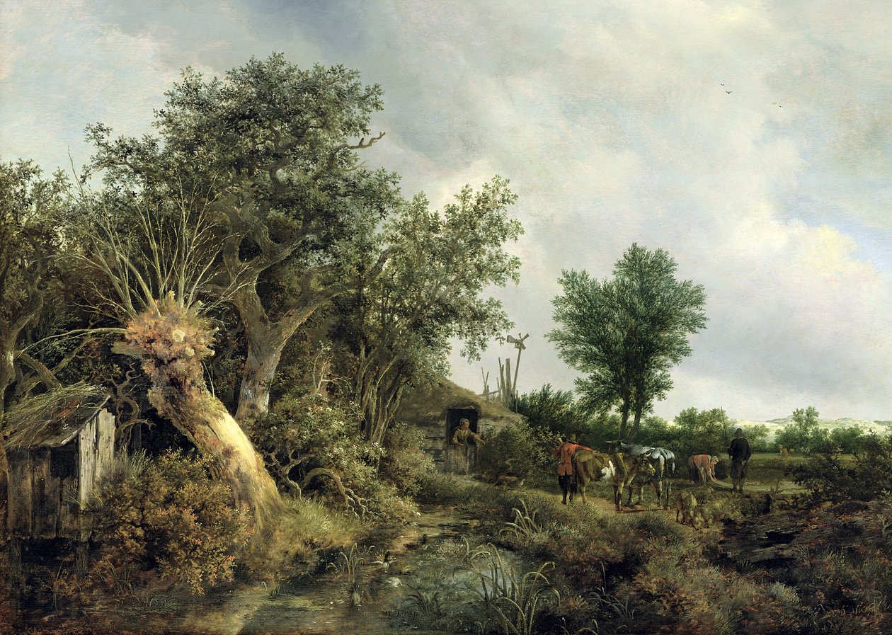 Paisagem com uma cabana, 1646 de Jacob van Ruisdael