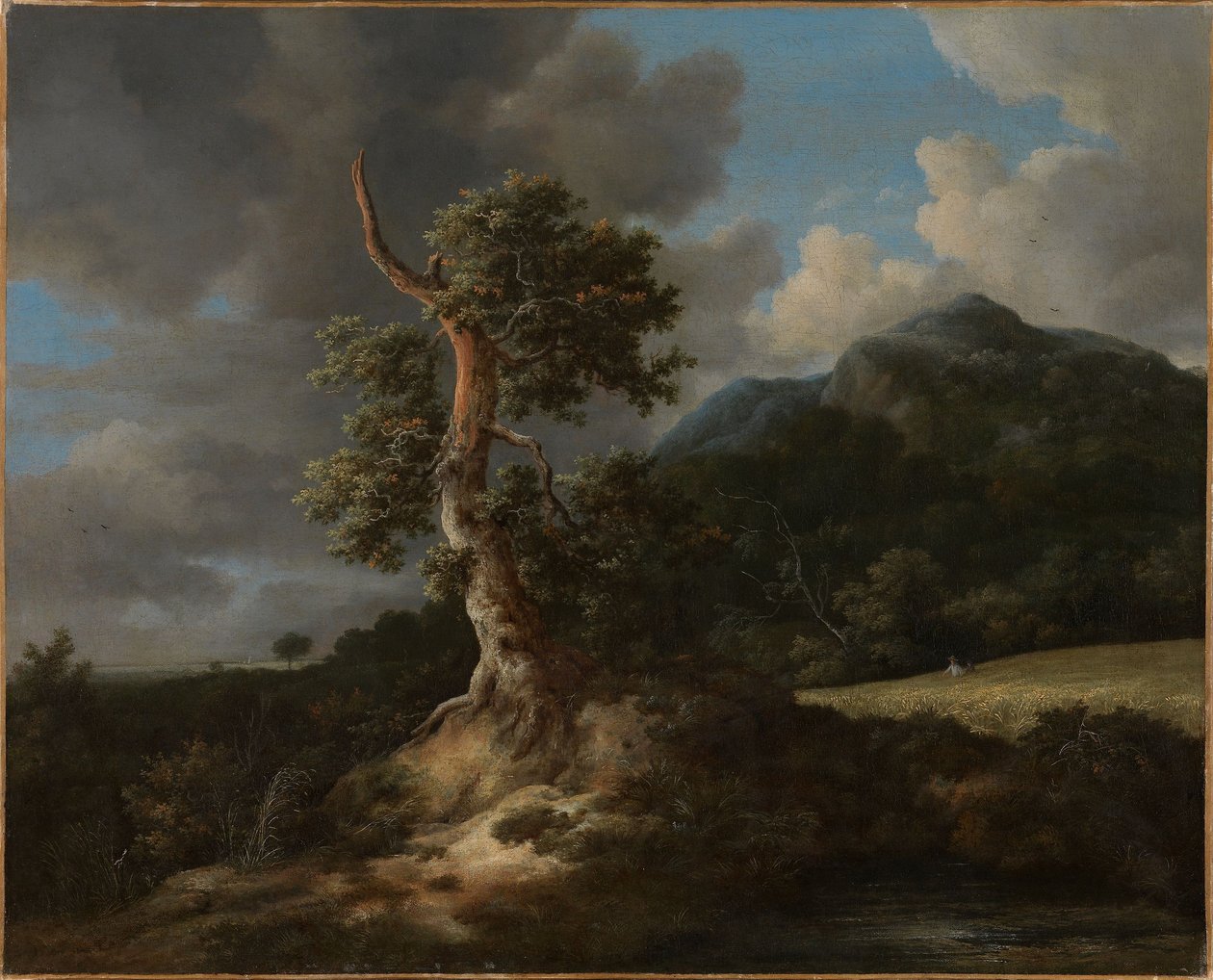Paisagem montanhosa com um carvalho destruído por uma explosão de Jacob van Ruisdael
