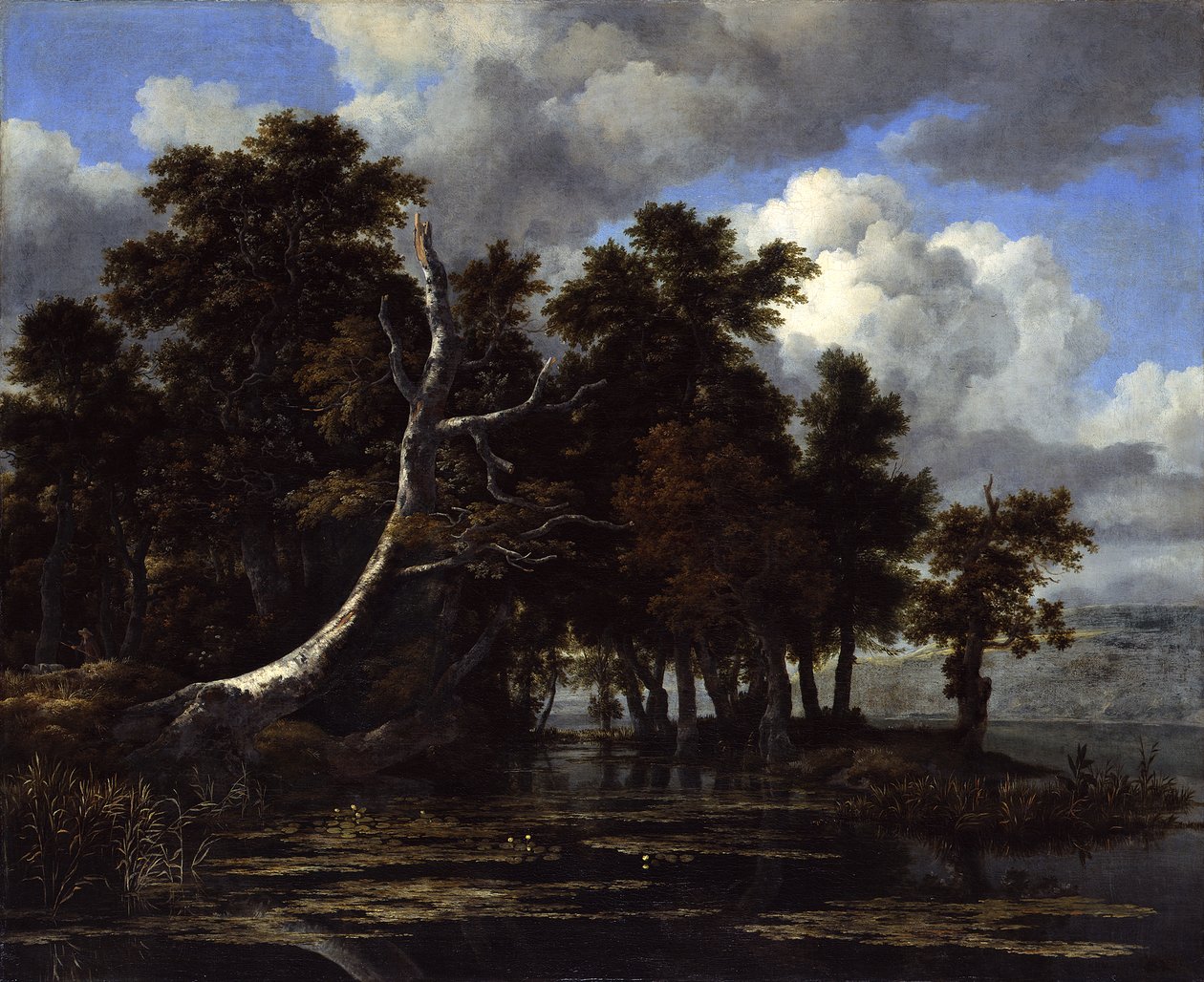 Carvalhos num lago com nenúfares de Jacob van Ruisdael