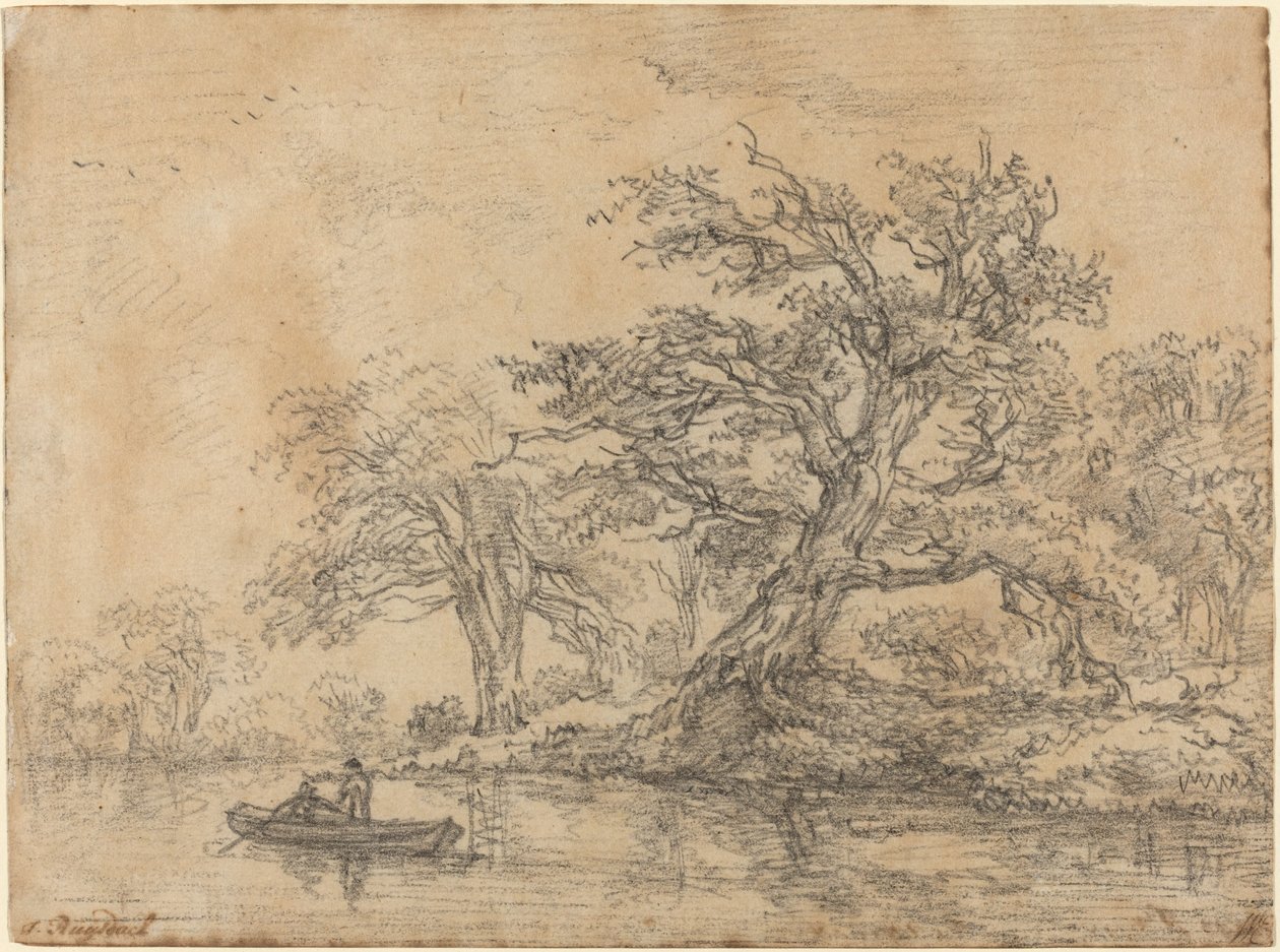 Árvores velhas ao longo de um banco de Jacob van Ruisdael