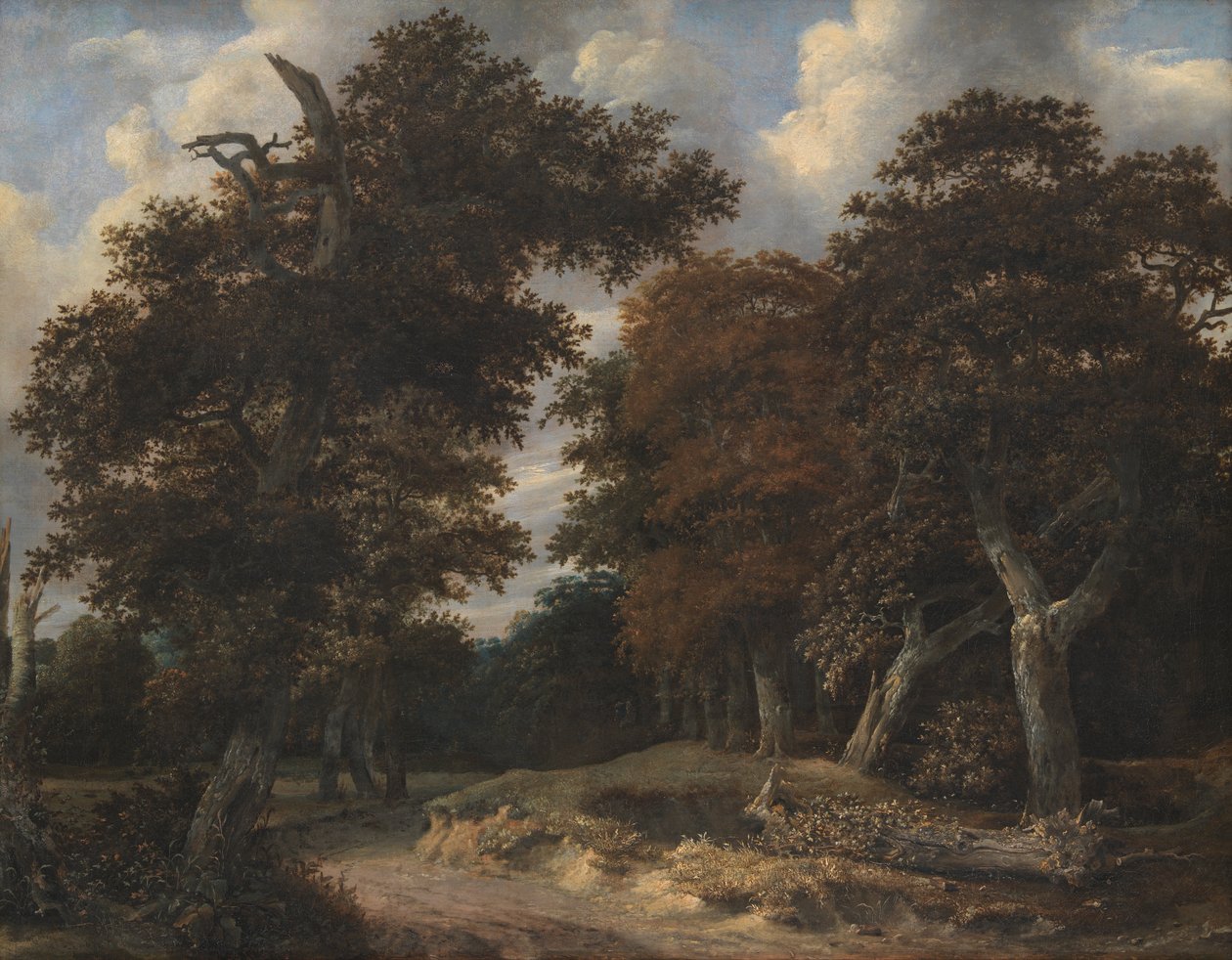 Estrada através de uma floresta de carvalhos de Jacob van Ruisdael