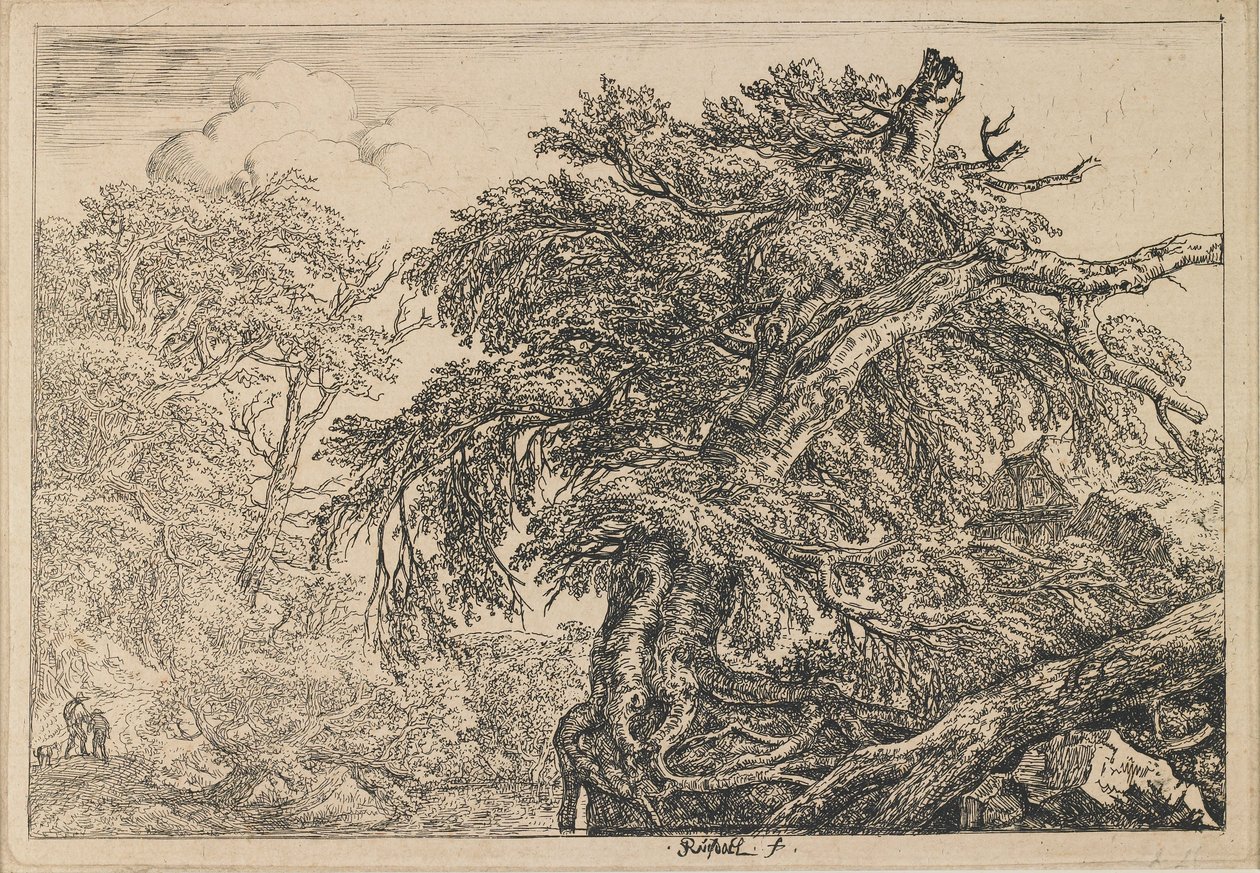 A grande faia, com dois homens e um cão de Jacob van Ruisdael