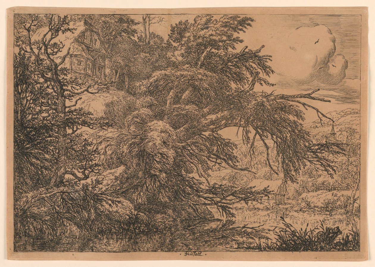 A casa de palha na colina de Jacob van Ruisdael