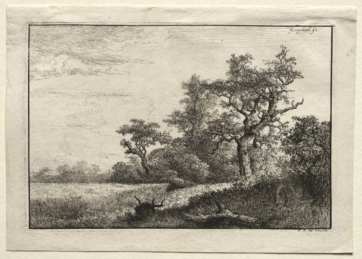 O campo de trigo de Jacob van Ruisdael