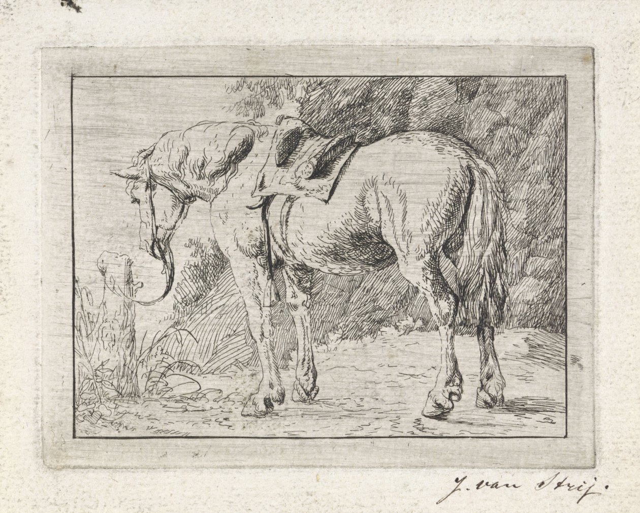 Cavalo selado amarrado a um poste de Jacob van Strij