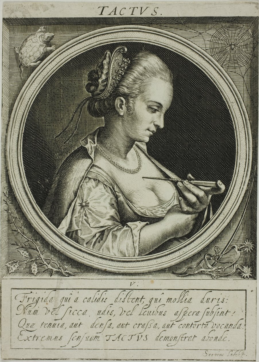 Sentir, prato cinco de Os Cinco Sentidos de Jacob van der Heyden