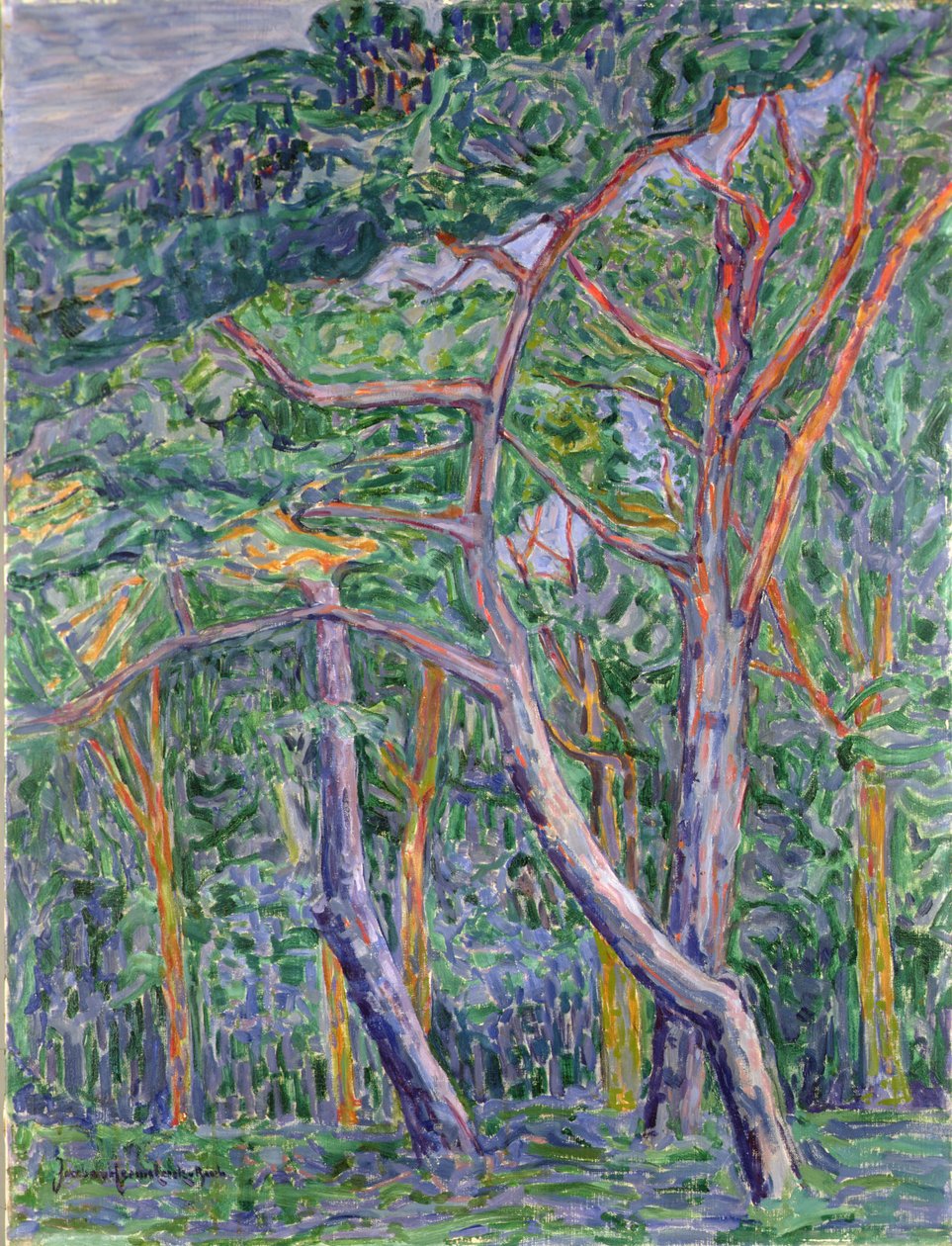 Pinhais de Jacoba van Heemskerck