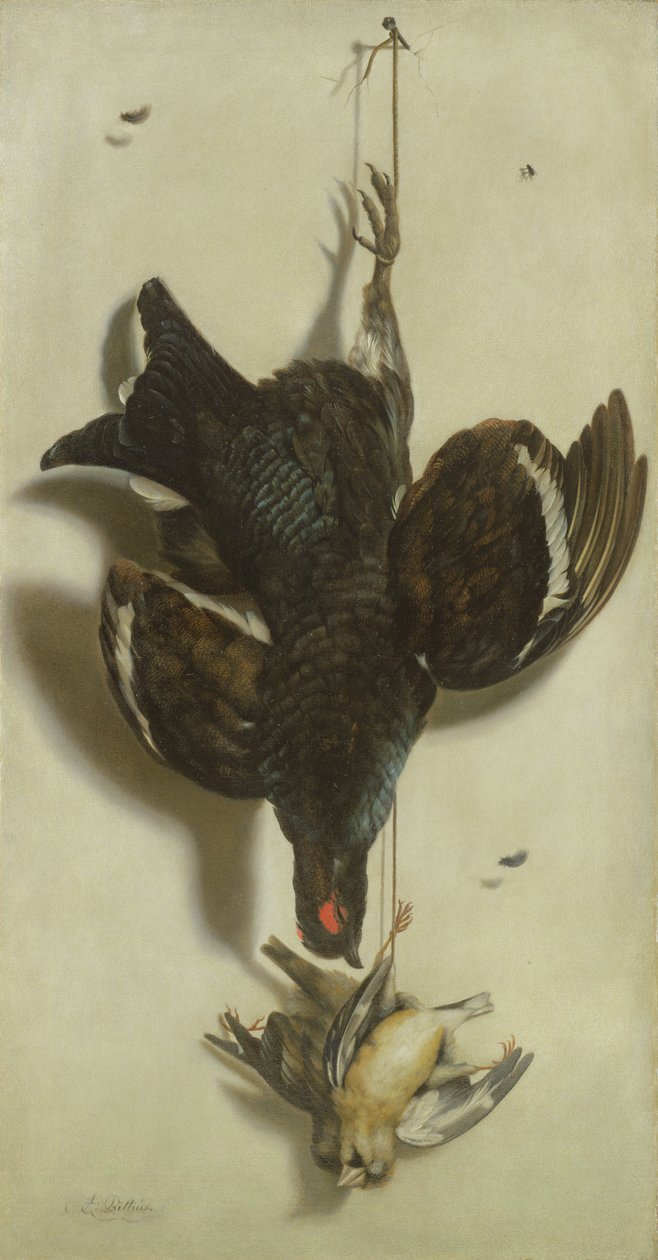Trompe loeil de um galo silvestre preto e tentilhões de Jacobus Biltius