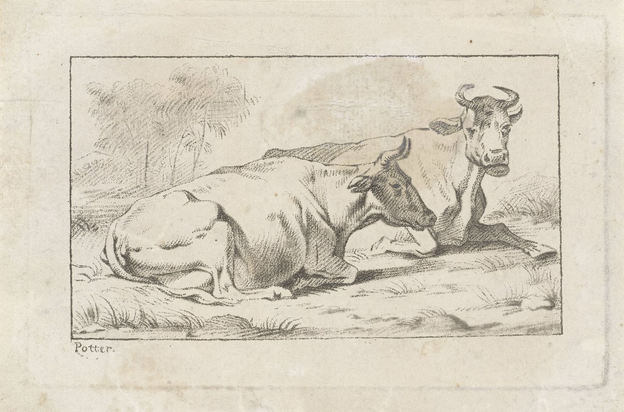 Duas vacas reclináveis de Jacobus Buys