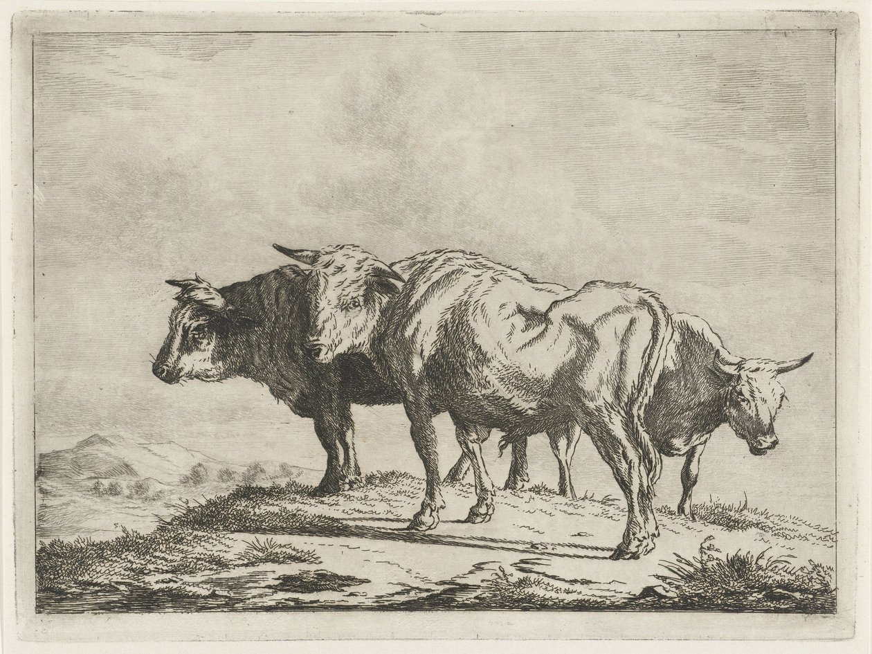 Três bois de Jacobus Cornelis Gaal