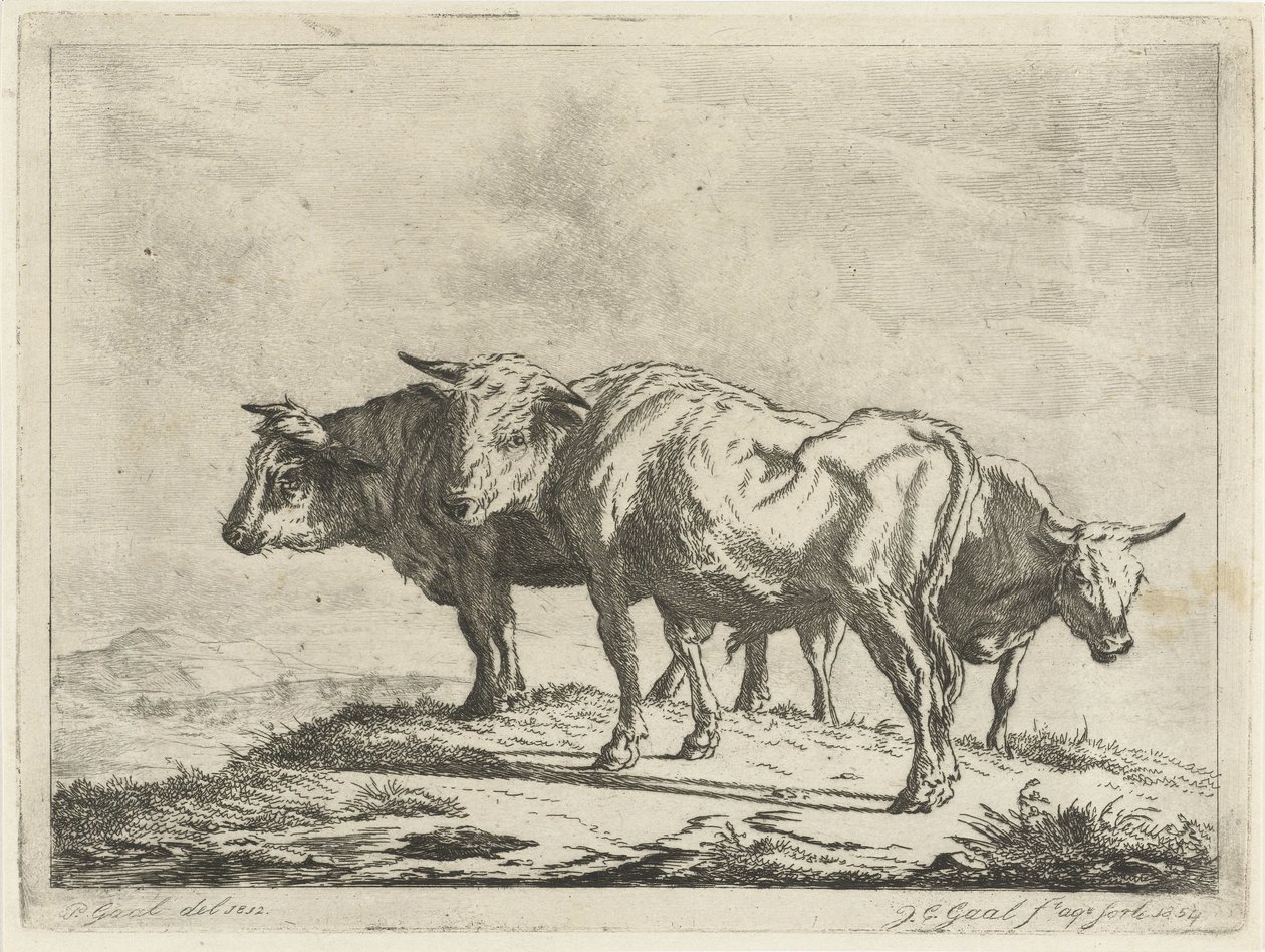 Três bois de Jacobus Cornelis Gaal
