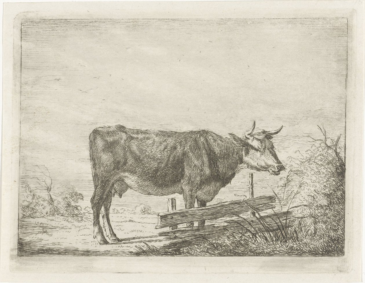 Vaca em pé perto de uma cerca de Jacobus Cornelis Gaal