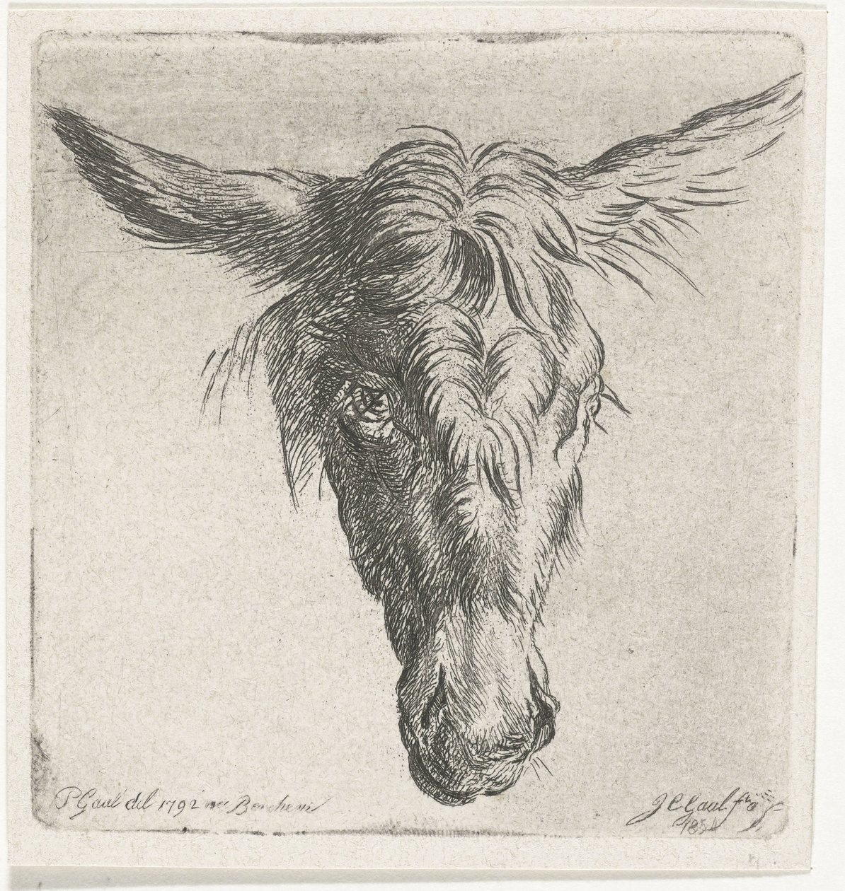 Cabeça de burro de Jacobus Cornelis Gaal