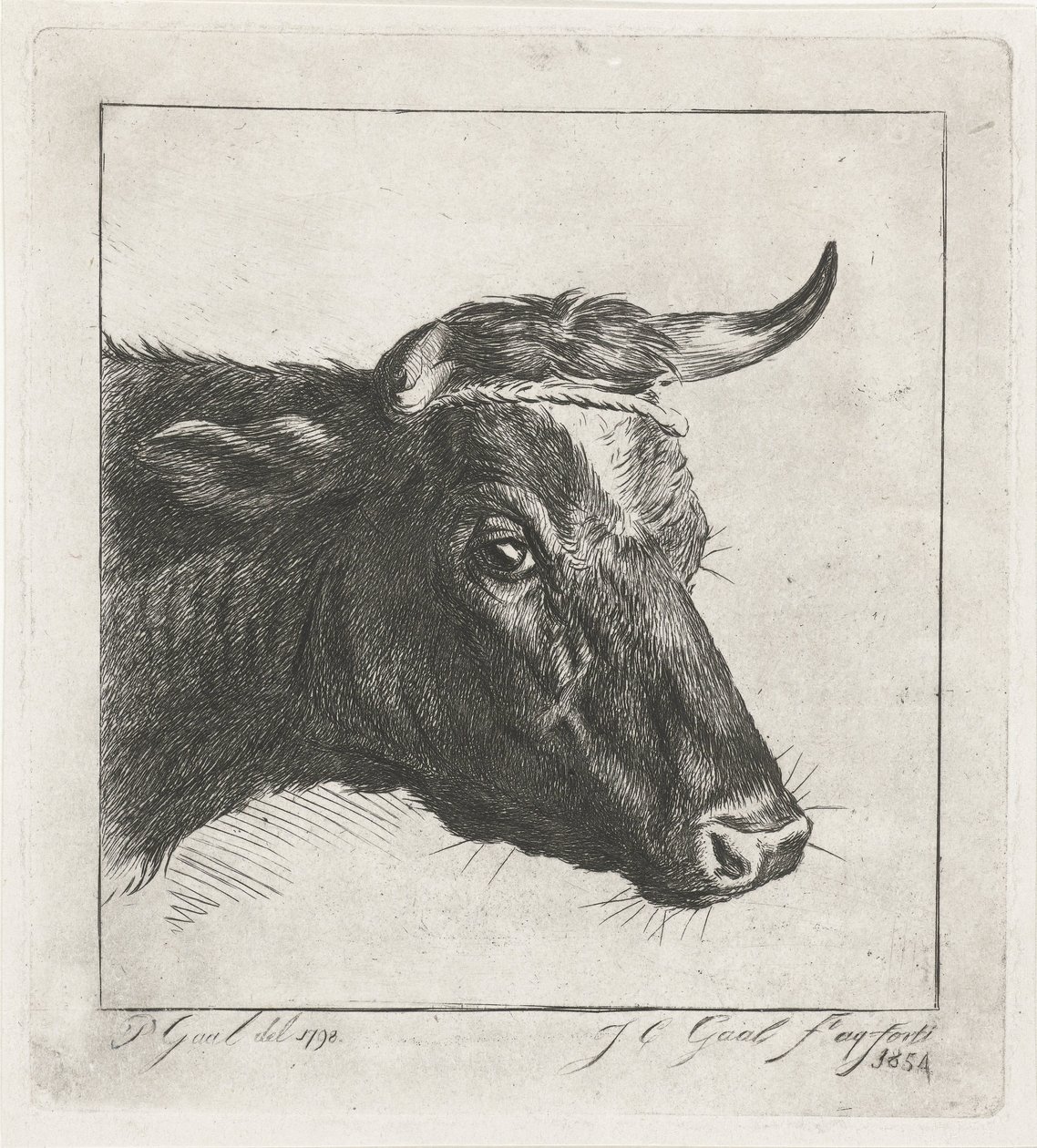 Cabeça de uma vaca com corda à volta dos seus chifres de Jacobus Cornelis Gaal