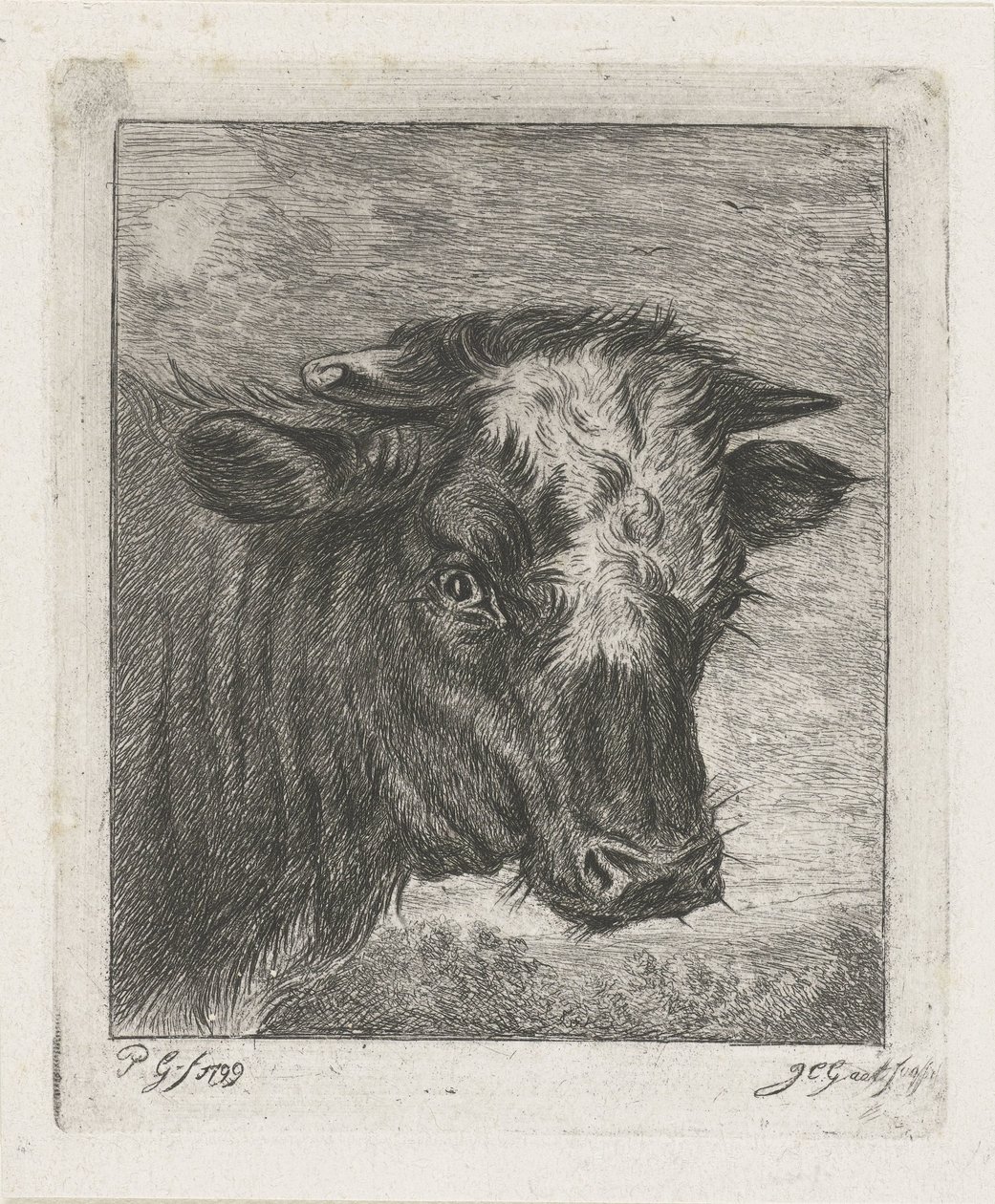 Cabeça de uma vaca com colo branco de Jacobus Cornelis Gaal