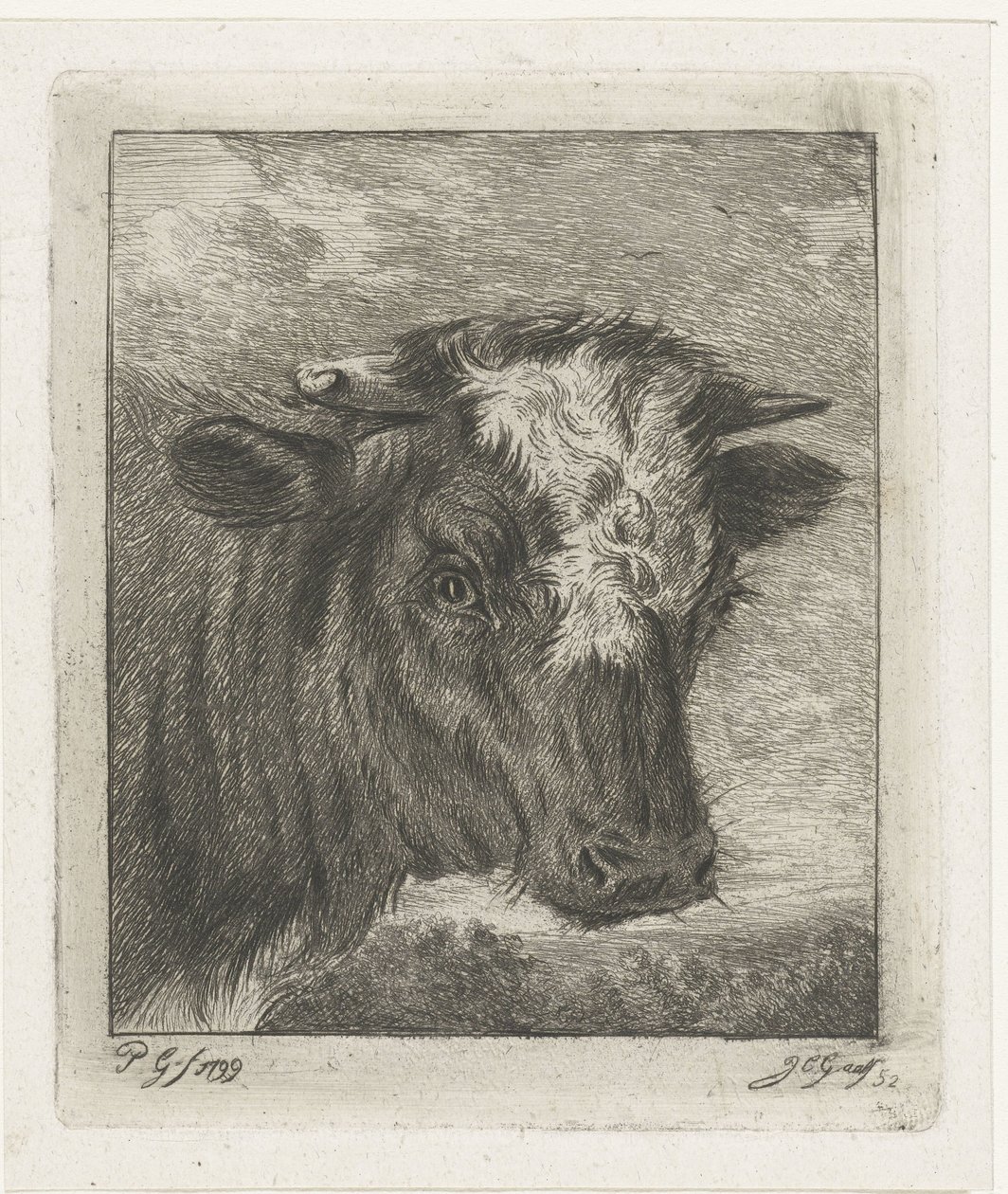 Cabeça de uma vaca com colo branco de Jacobus Cornelis Gaal
