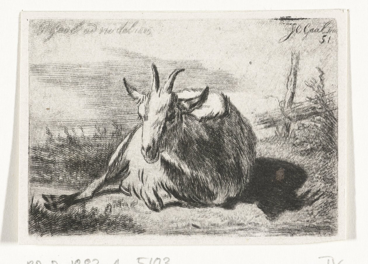 Cabra deitada, à esquerda de Jacobus Cornelis Gaal