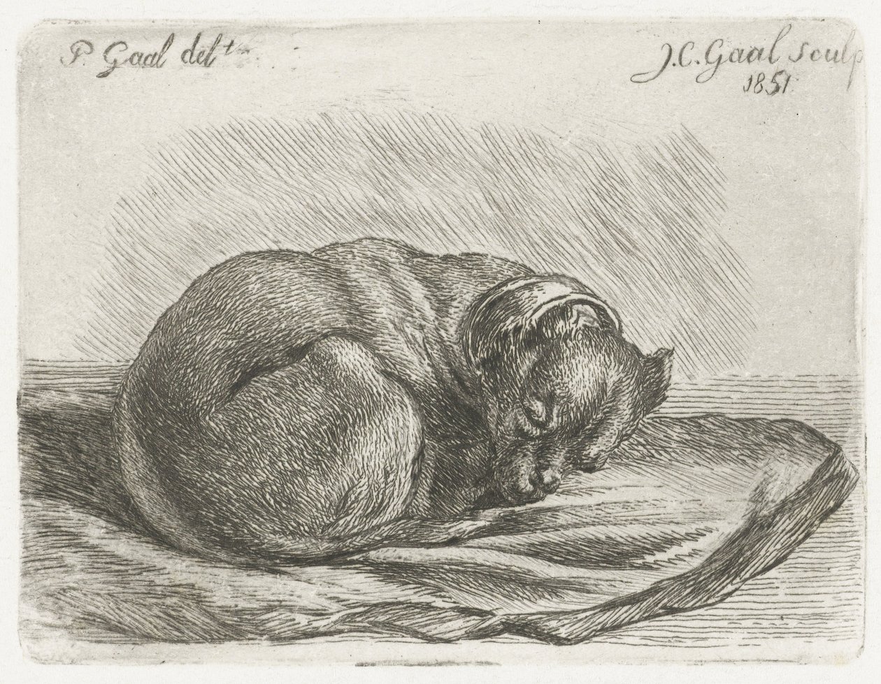 Cão dormindo, deitado em um cobertor de Jacobus Cornelis Gaal
