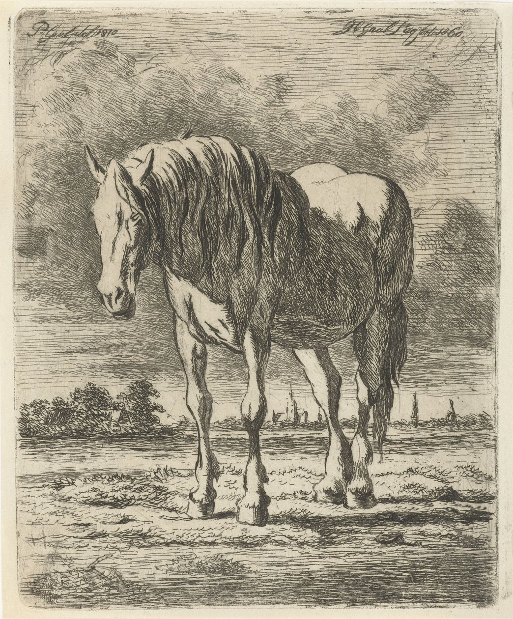 Cavalo branco em pé de Jacobus Cornelis Gaal