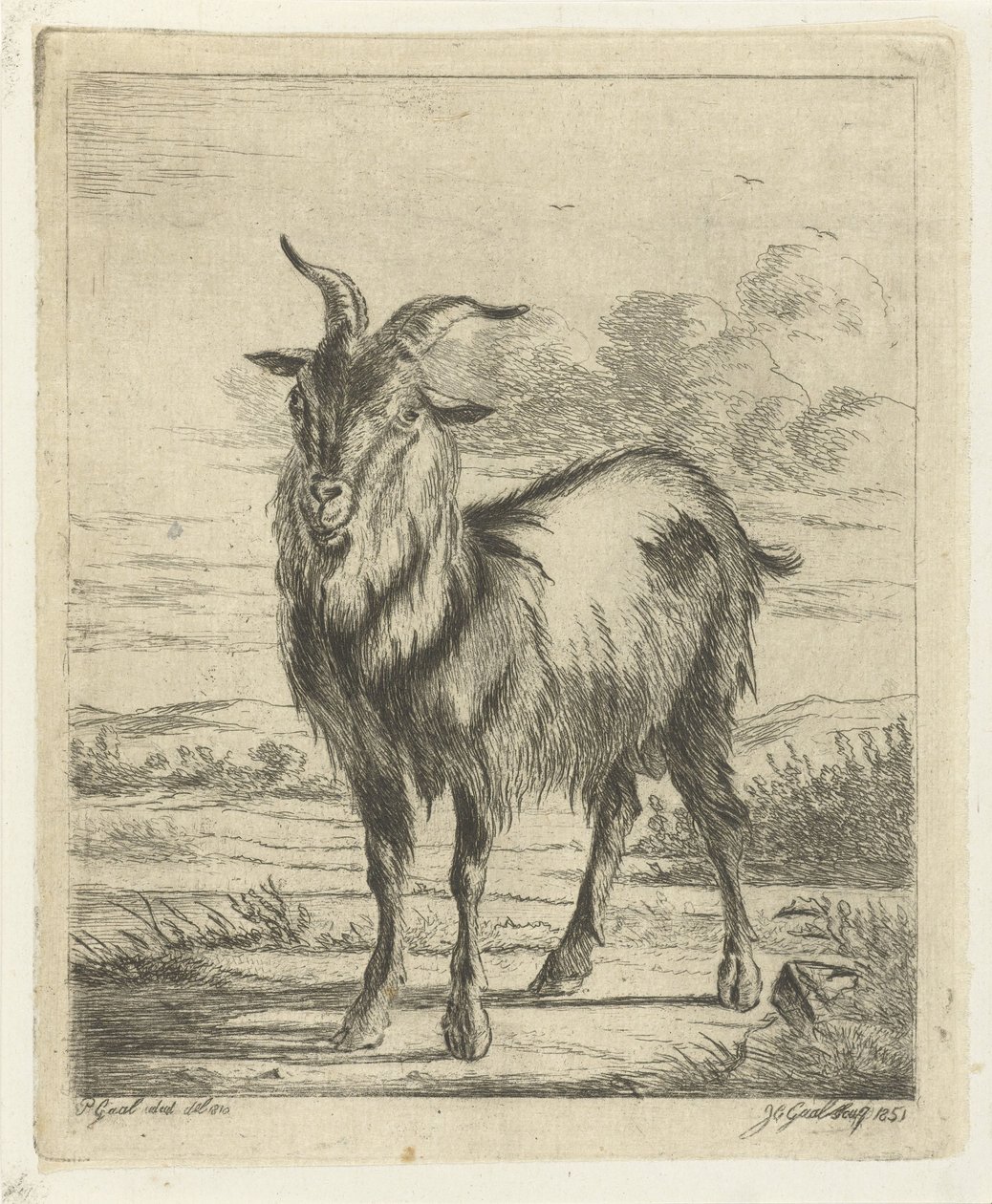 cabra em pé de Jacobus Cornelis Gaal