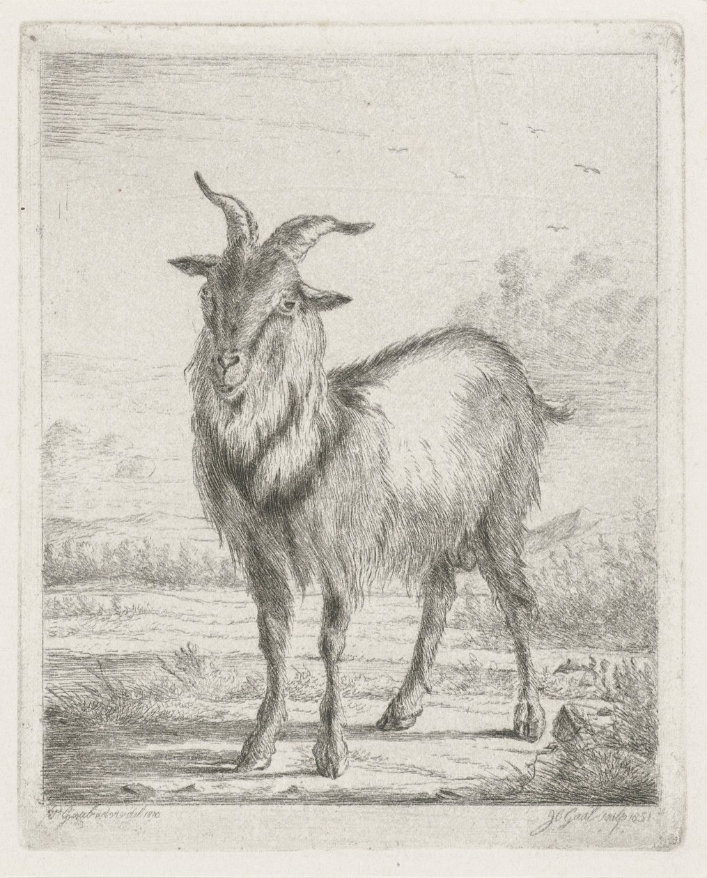 Cabra em pé de Jacobus Cornelis Gaal