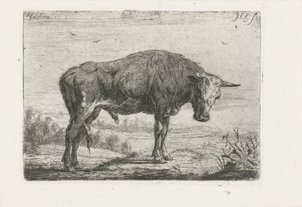 Touro em pé de Jacobus Cornelis Gaal