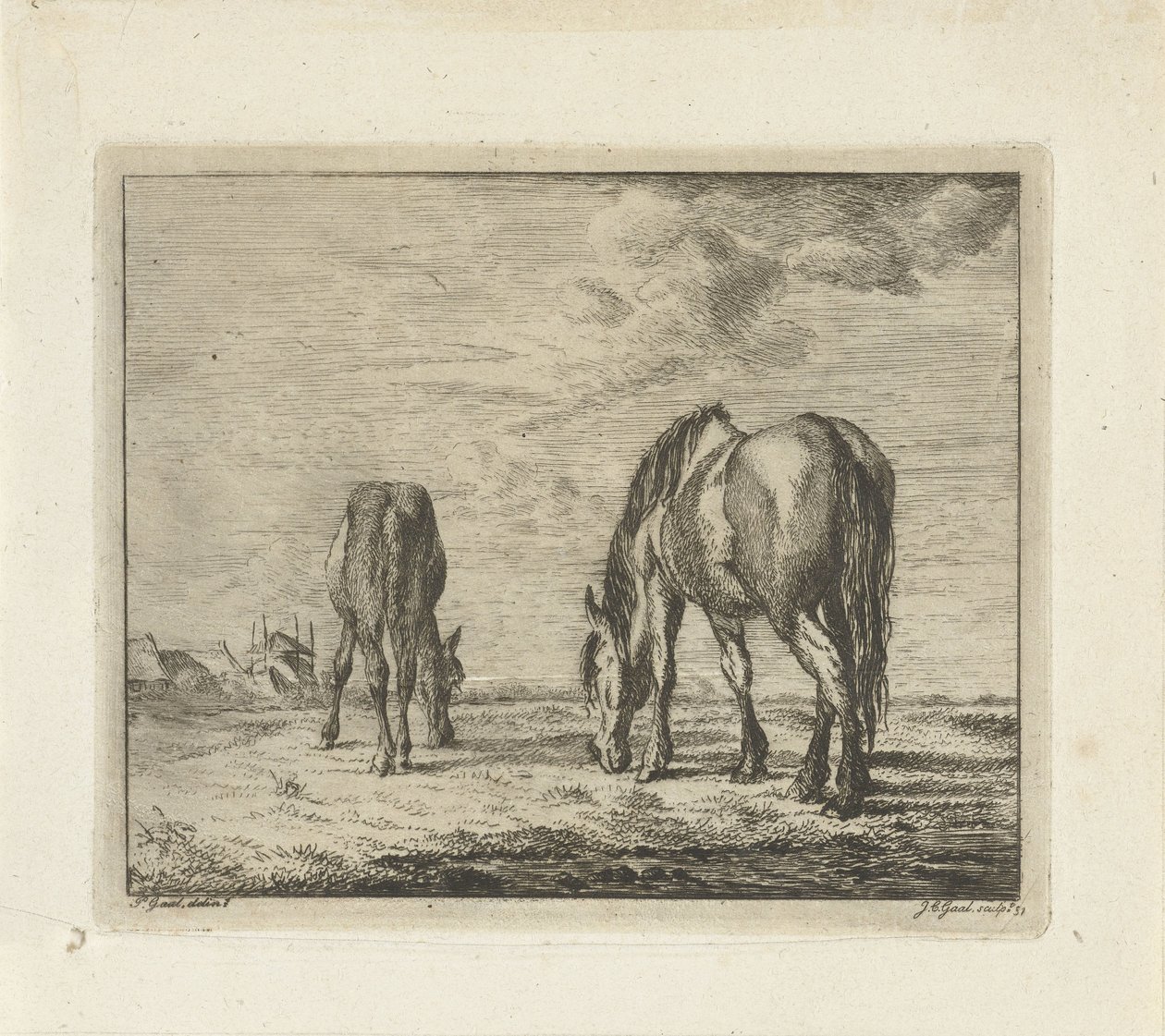 Dois cavalos pastando de Jacobus Cornelis Gaal