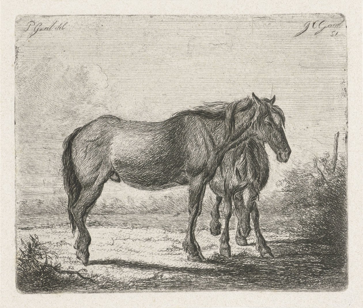 Dois cavalos de Jacobus Cornelis Gaal