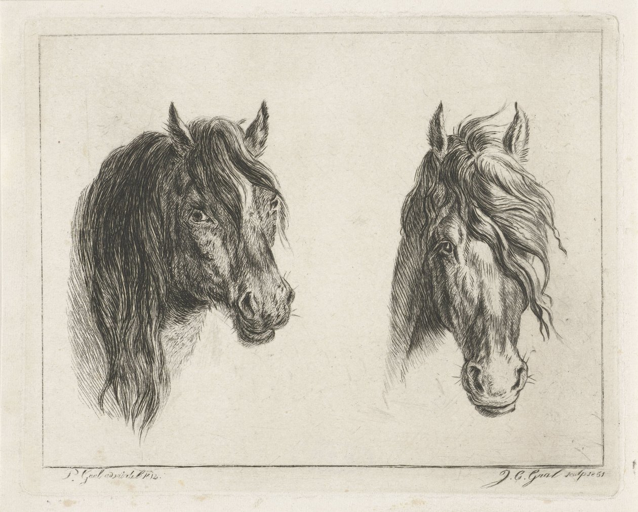 Duas cabeças de cavalo de Jacobus Cornelis Gaal