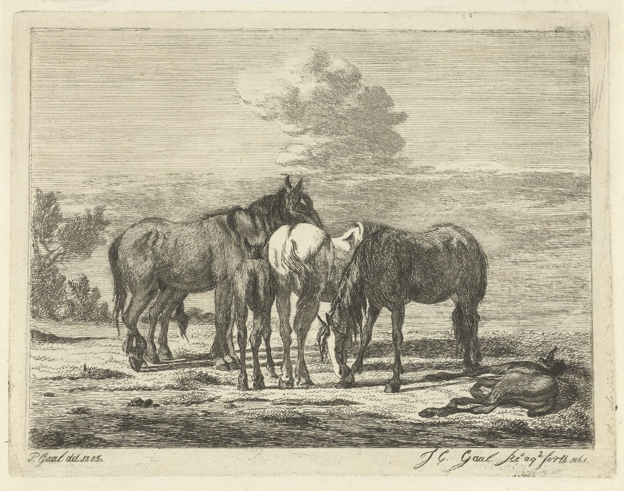Quatro cavalos e dois potros de Jacobus Cornelis Gaal