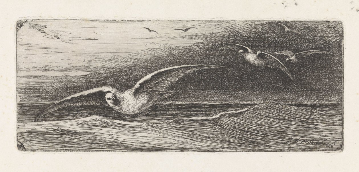 Seagulls de Jacobus Hermanus Otterbeek