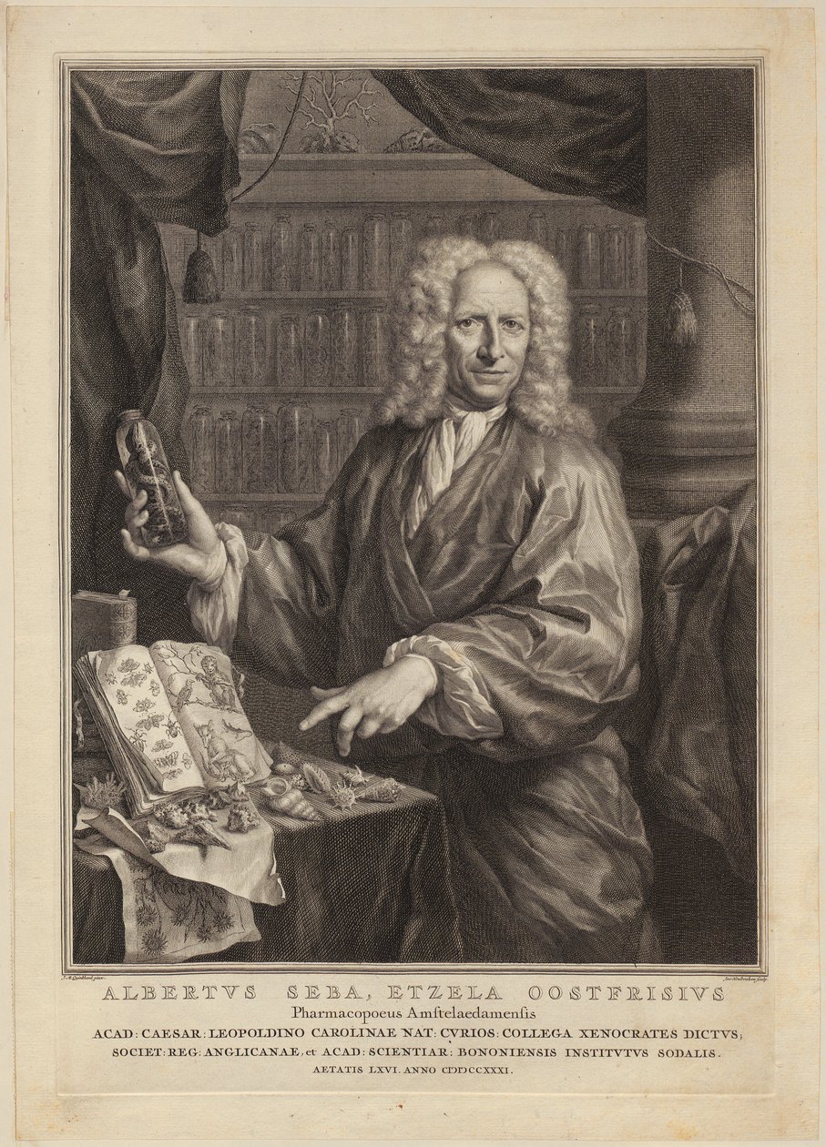 Retrato de Albert Seba, boticário e célebre coleccionador de espécimes de história natural de Jacobus Houbraken