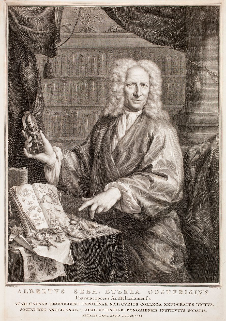 Retrato de Albertus Seba, segundo Jan Maurits Quinkhard de Jacobus Houbraken