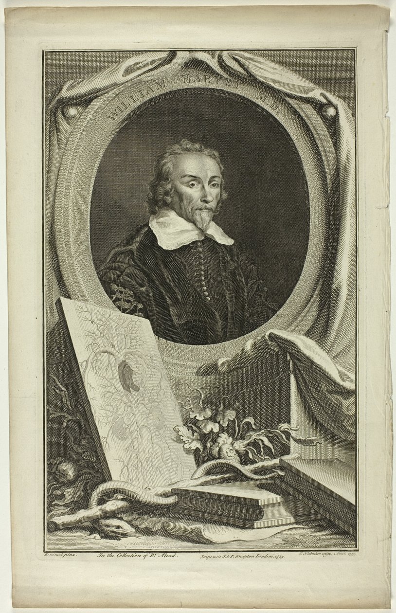 William Harvey, M. D. de Jacobus Houbraken