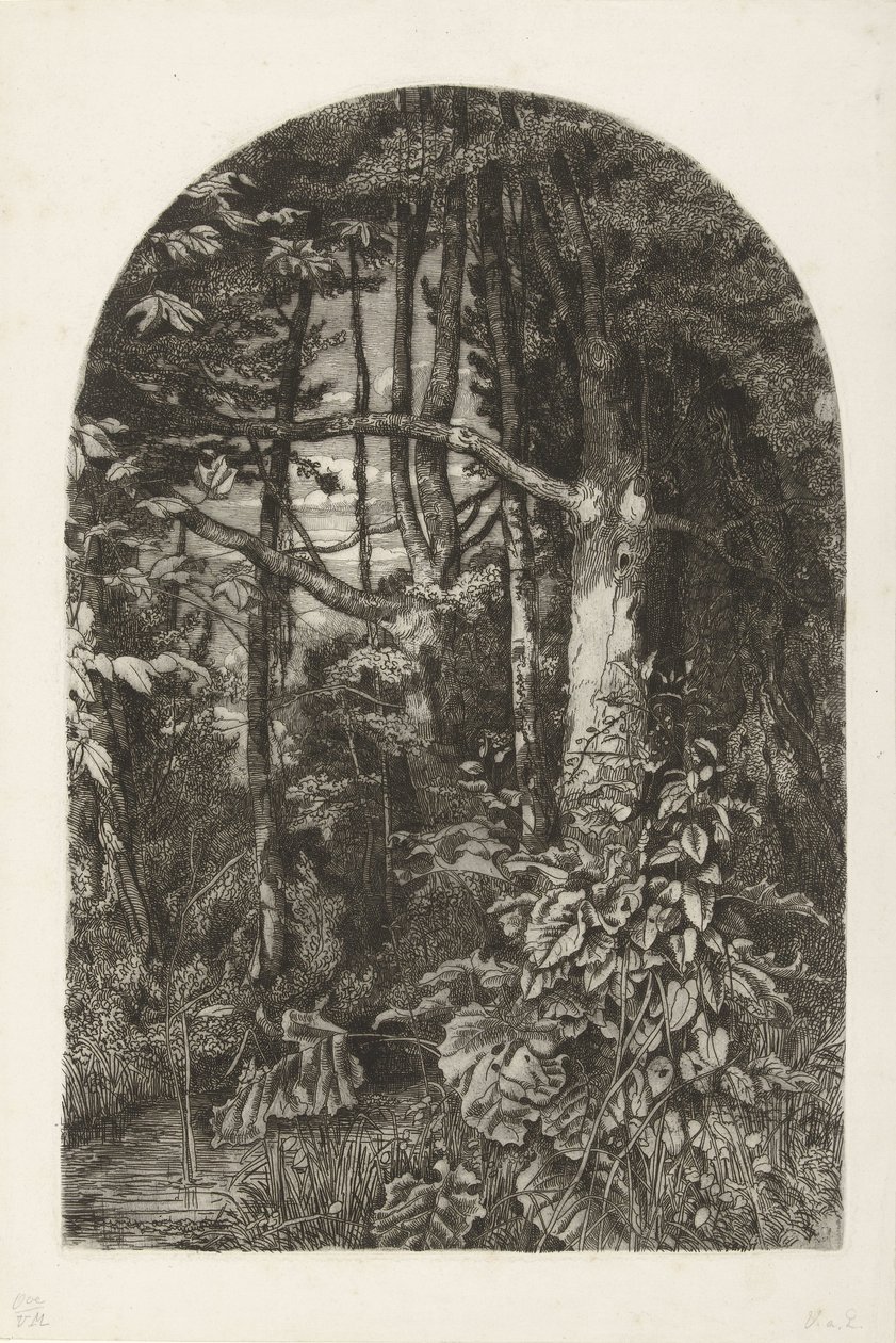 Floresta com riacho de Jacobus Ludovicus Cornet