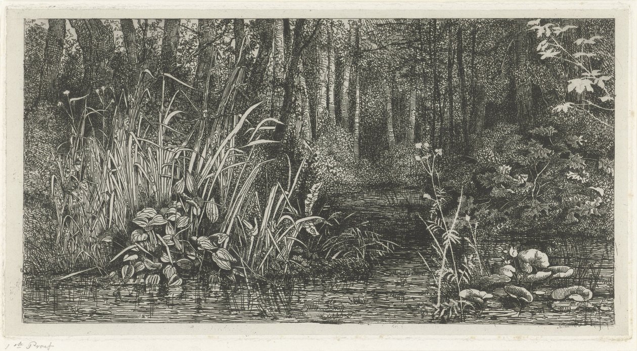 Ribeira da floresta de Jacobus Ludovicus Cornet