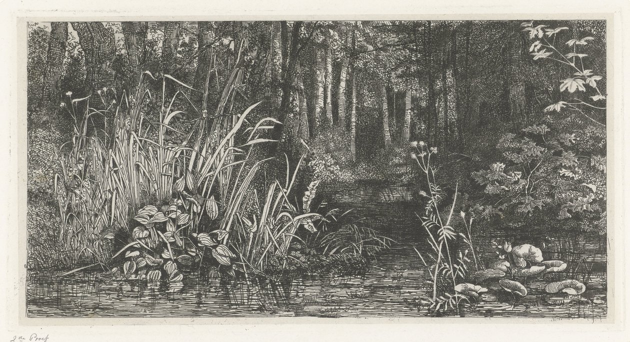 Ribeira da floresta de Jacobus Ludovicus Cornet