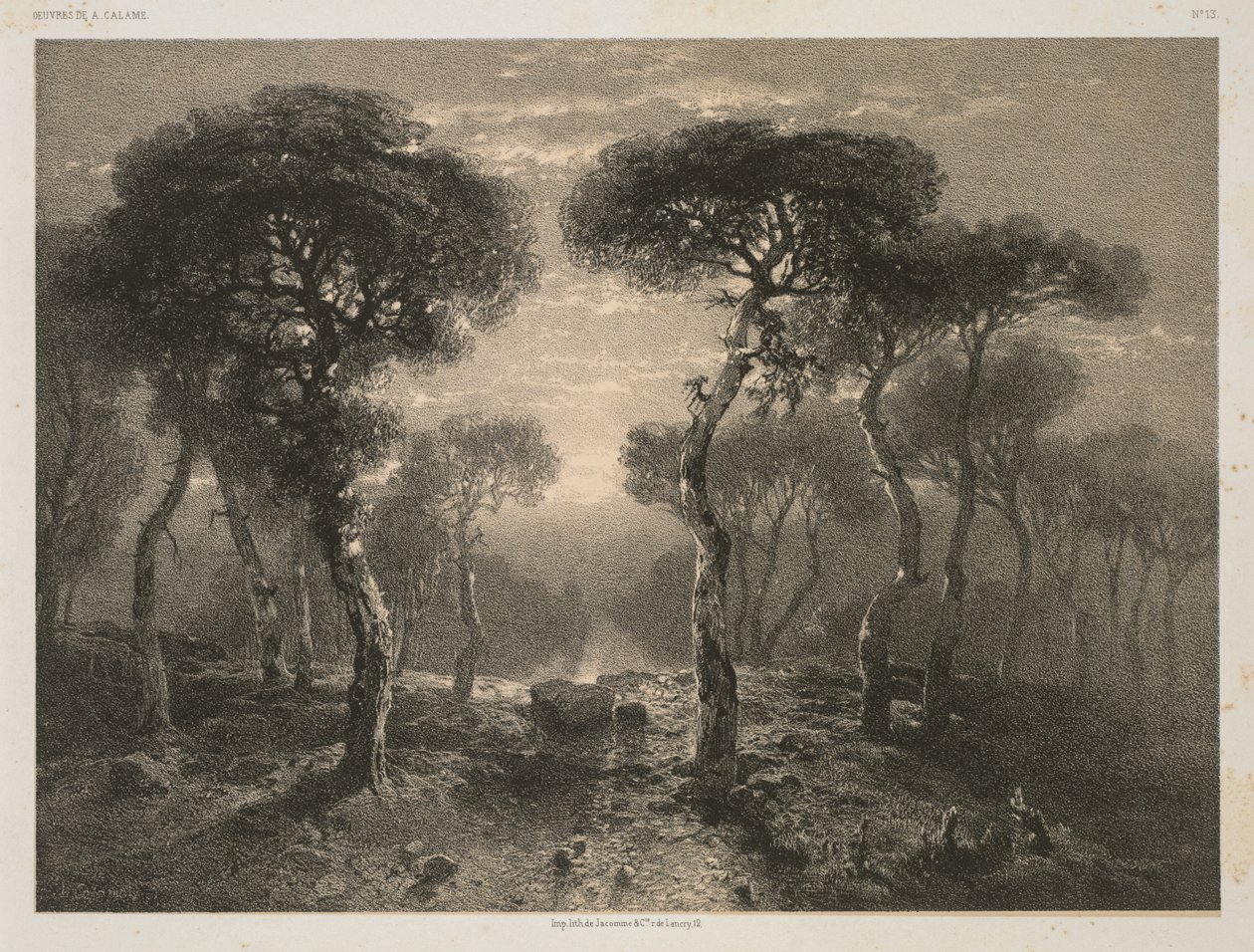 Obras de A. Calame, nº 13: Floresta de Sierre em Valais de Jacomme and Cie. R. de Lancry, 12, Paris