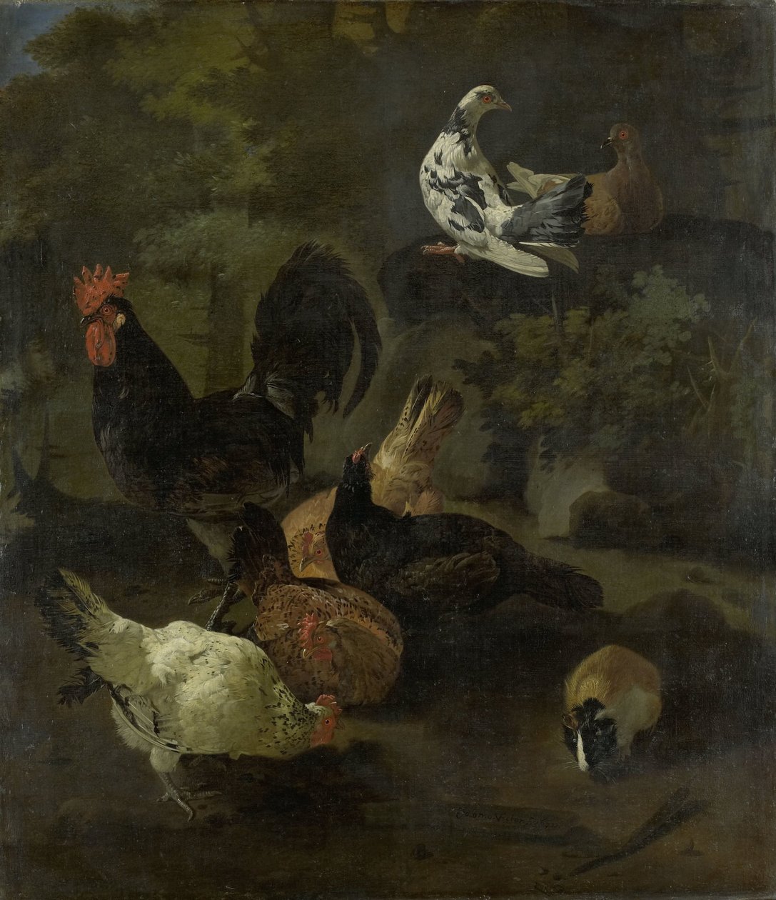 Um galo, galinhas, pombas e uma marmota de Jacomo Victors