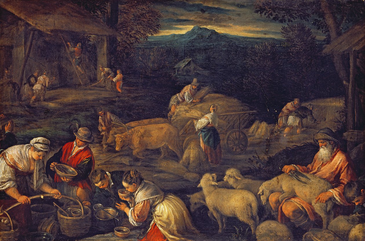 Fazenda Interior ou Tosquiando Ovelhas de Jacopo Bassano