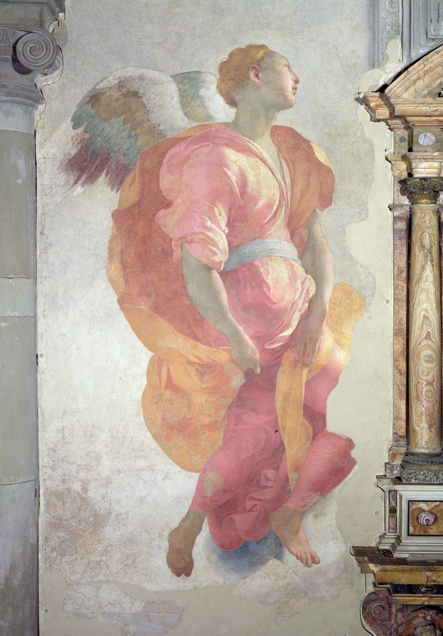 A Visitação, detalhe de um anjo à esquerda do altar, 1528-30 afrescos de Jacopo Pontormo