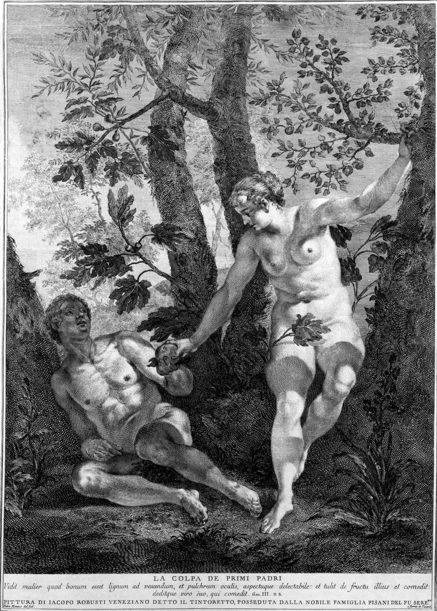Adão e Eva, gravados por Pietro Monaco, c.1741-52 de Jacopo Robusti Tintoretto